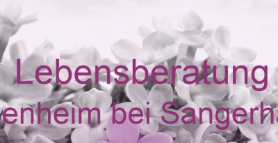 Lebensberatung Blankenheim bei Sangerhausen | Top-Experten für Kartenlegen, Wahrsagen, Hellsehen, Zukunftsdeutung. Lebensberatung Blankenheim bei Sangerhausen | Top-Experten für Kartenlegen, Wahrsagen, Hellsehen, Zukunftsdeutung.